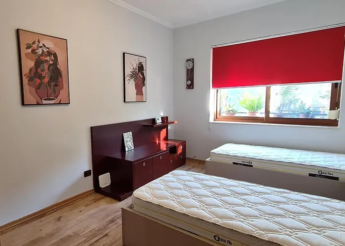 2v1- Center Dp ティラナ